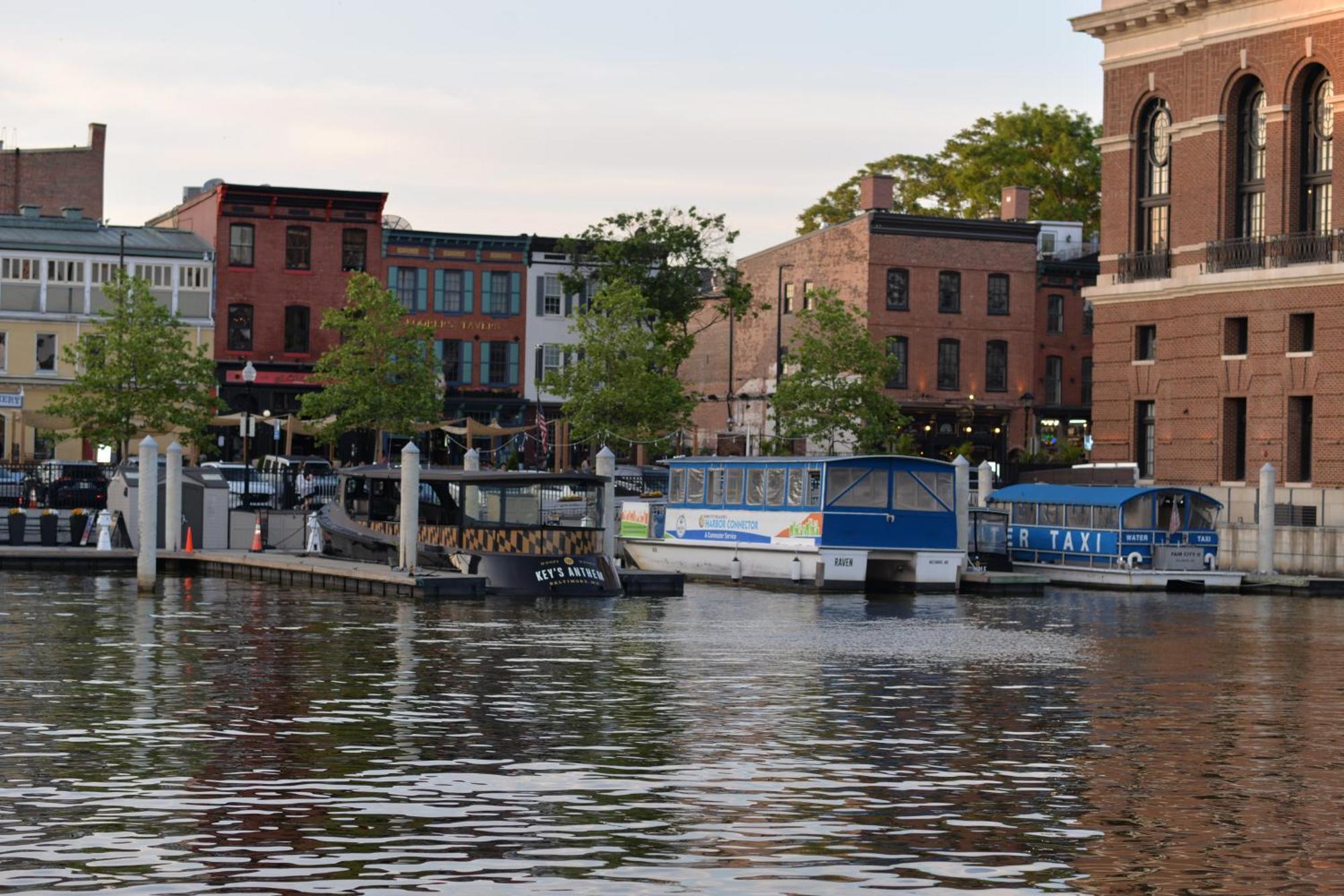 Pristine Townhouse With Rooftop Deck Near Canton! Baltimore Extérieur photo